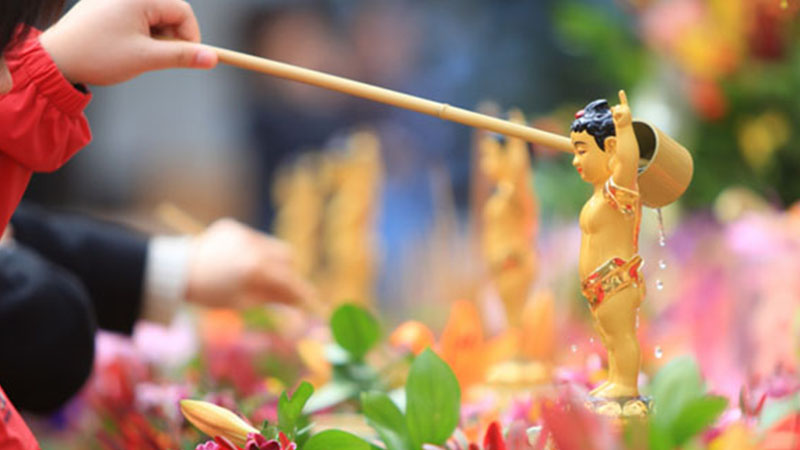 Tắm Phật là một nghi thức không thể thiếu trong lễ Phật Đản